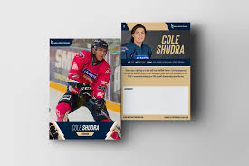 Image result for Mk Lightning