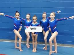 Image result for Wickers Gymnastics Club