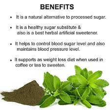 Image result for Stevia rebaudiana