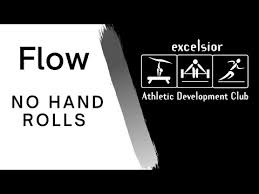 Image result for Excelsior Athletic Development Centre