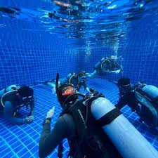 Image result for Crystal Freedivers (London)