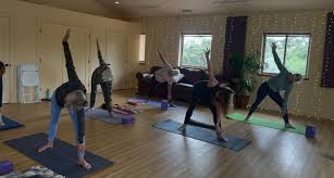 Image result for Janets Drop In Badminton Club