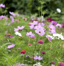 Image result for Schmuckkörbchen