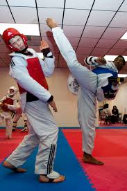 Image result for Taekwondo Athletes Program USA
