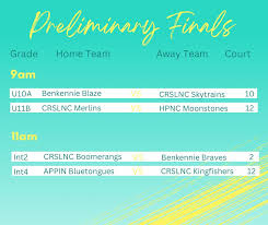 Image result for Kingfishers Netball Club