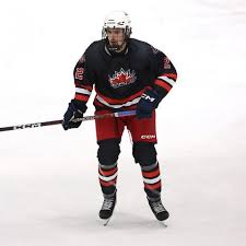 Image result for antoine d