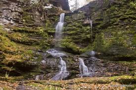 Image result for Green Hollow Bowmen