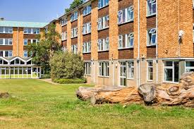 Image result for University Of Reading Ac