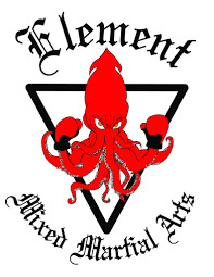 Image result for Full Element Mixed Martial Arts