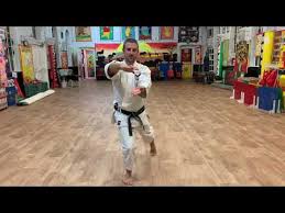 Image result for Kenshukai Karate