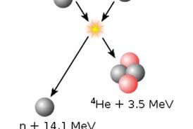Attēlu rezultāti vaicājumam “Didymium proximum”
