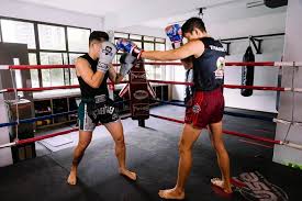 Image result for Muay Thai Clubs