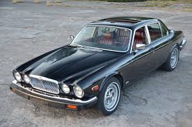 Image result for Curlew 1986 Jaguar