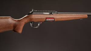 Image result for Winchester Home Guard Rifle & Pistol Club