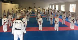Image result for Utf Taekwondo Cymru Cardiff