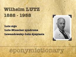 Image result for Lewandowsky-Lutz