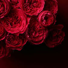 「梅宮龍彦 働きマン」の画像検索結果