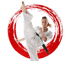 Image result for Kyokushin Karate