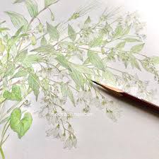 「望月麻里（マリ）」の画像検索結果