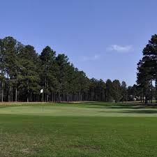 Image result for Moore Place Golf Club