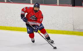 Image result for Norton Cyclones Skater Hockey Club