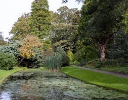 Image result for Arboretum Trompenburg