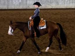 Image result for Fisher Equestrian