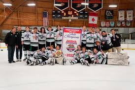 Image result for Stockton Ladies Hockey Club