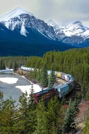 Résultat de recherche d'images pour "morant's curve"