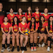 Image result for Cheltenham Cobras Volleyball Club