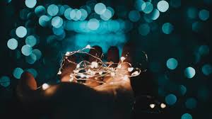 Image result for bokeh