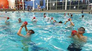 Image result for Kingston and Elmbridge Snorkellers