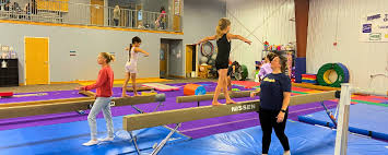 Image result for Gymmagic