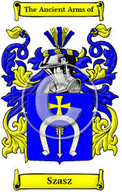 Image result for szasz