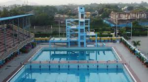 Image result for Deva Handball Club