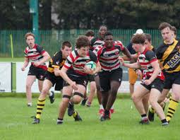 Image result for Novocastrians Rugby Football Club