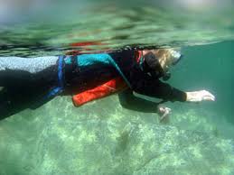 Image result for Dorking Snorkelling Club