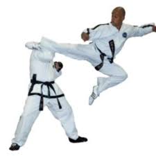 Image result for Bytomic Tae Kwon Do Beaconsfield