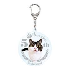 猫次郎o에 대한 이미지 검색결과