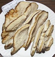 Attēlu rezultāti vaicājumam “Climacodon septentrionalis”