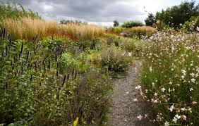 Image result for Piet Oudolf