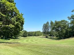 Image result for Blairbeth Golf Club