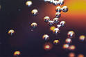 Carbonation - Wikipedia, the free encyclopedia