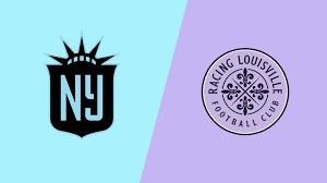 Image result for Gotham Soccer League