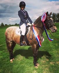 Image result for Elstead Riding Club
