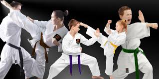 Image result for Combined self defence arts