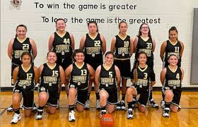 Image result for Elmbridge Girls Basketball Club