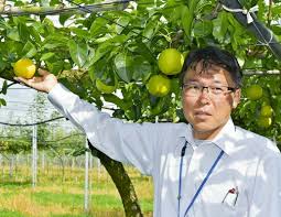 「青島蒼一」の画像検索結果