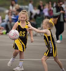Image result for Epsom Oaks Netball Club