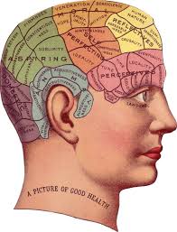 Image result for map of the brain